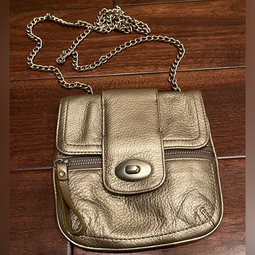 Banana Republic Metallic Gold Mini Crossbody